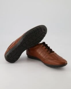 Geox UOMO SYMBOL In Braun -Tretter Verkäufe T 05540000752 pic12