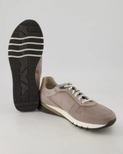 Pius Gabor Schnürschuh In Beige -Tretter Verkäufe T 05550300095 pic12