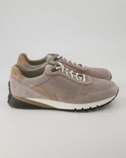 Pius Gabor Schnürschuh In Beige -Tretter Verkäufe T 05550300095 pic2