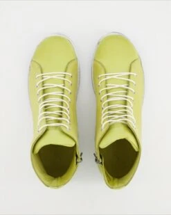 Andrea Conti Stiefelette In Grün 10 Andrea Conti Stiefelette In Grün -Tretter Verkäufe T 29280000014 pic11