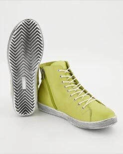 Andrea Conti Stiefelette In Grün 11 Andrea Conti Stiefelette In Grün -Tretter Verkäufe T 29280000014 pic12