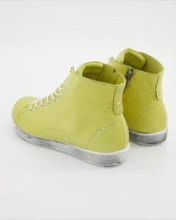 Andrea Conti Stiefelette In Grün 9 Andrea Conti Stiefelette In Grün -Tretter Verkäufe T 29280000014 pic3